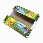 Multicolor Sustainable Corrugated Gift Box For Fruit Packaging Leakproof