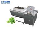 Small Type Commercial 40kg/Time Fruit Vegetable Washing Machine