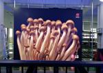 Waterproof Outdoor HD LED Display P5mm 3 Years Warranty For Outdoor Advertising