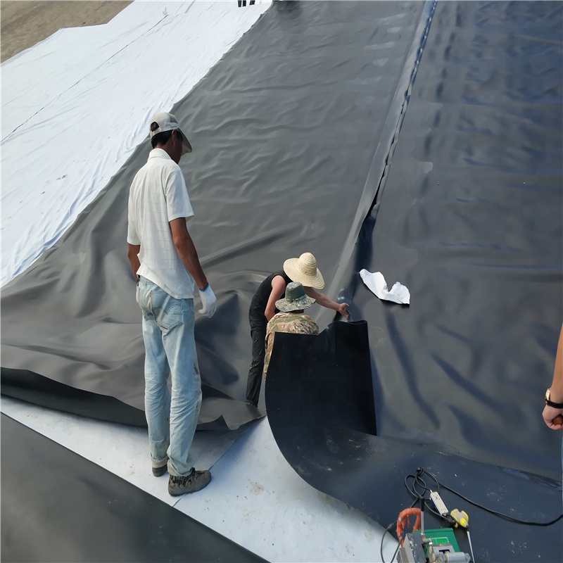 Fish Farm Pond Liner 0.5mm 0.75mm HDPE Geomembrane Plastic Liner Length 50m-200m