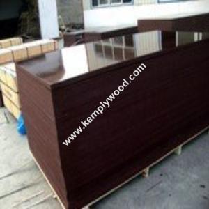Quality Two times hot pressed film faced plywood, Marine shuttering film faced plywood, Construction shuttering plywood wholesale