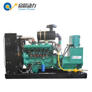 Quality 10kw 50kw 100kw 200kw CNG LNG LPG Genset with ATS wholesale