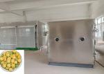 100Kg Food Vegetable Freeze Dryer Bitzer Refrigeration Unit Active