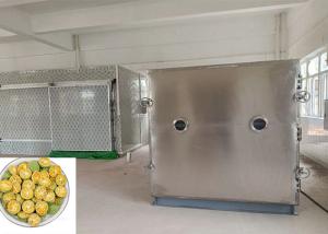 Quality 100Kg Food Vegetable Freeze Dryer Bitzer Refrigeration Unit Active wholesale