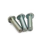 Blue Zinc Plated Carbon Steel One-Way S-Slot Security Screw – Tamper-Proof