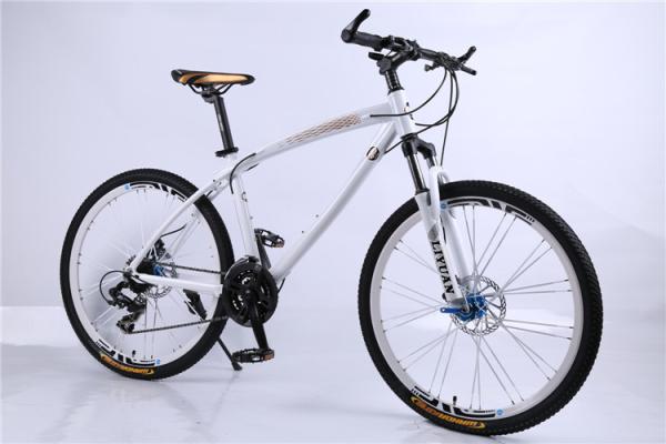High quality factory price OEM 24 spoke wheel Shimano 21 speed alloy mountain