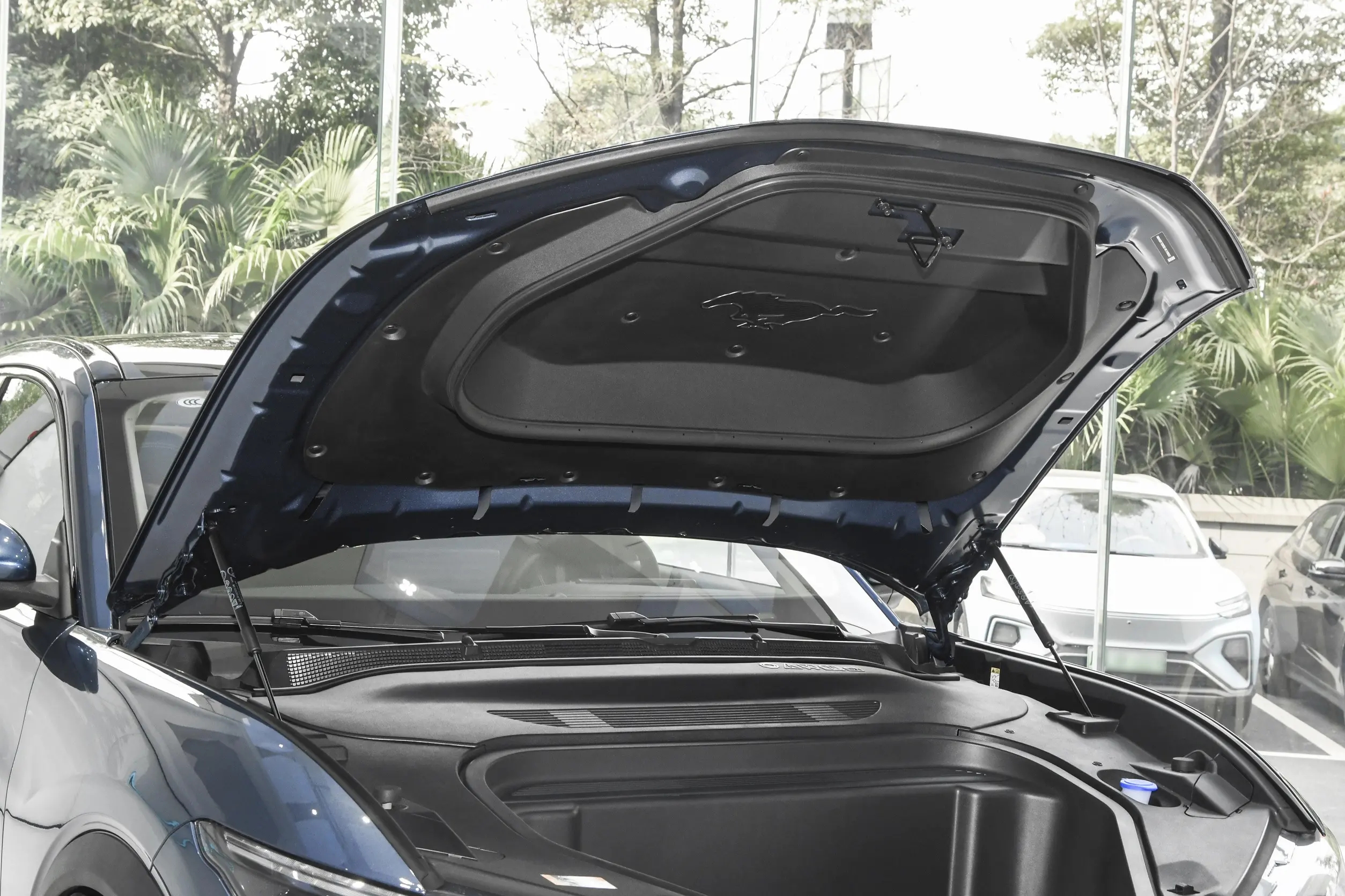 Mustang Mach-E The Next Generation of Electric SUVs with 125kw Motor and 136.7Wh/kg Battery