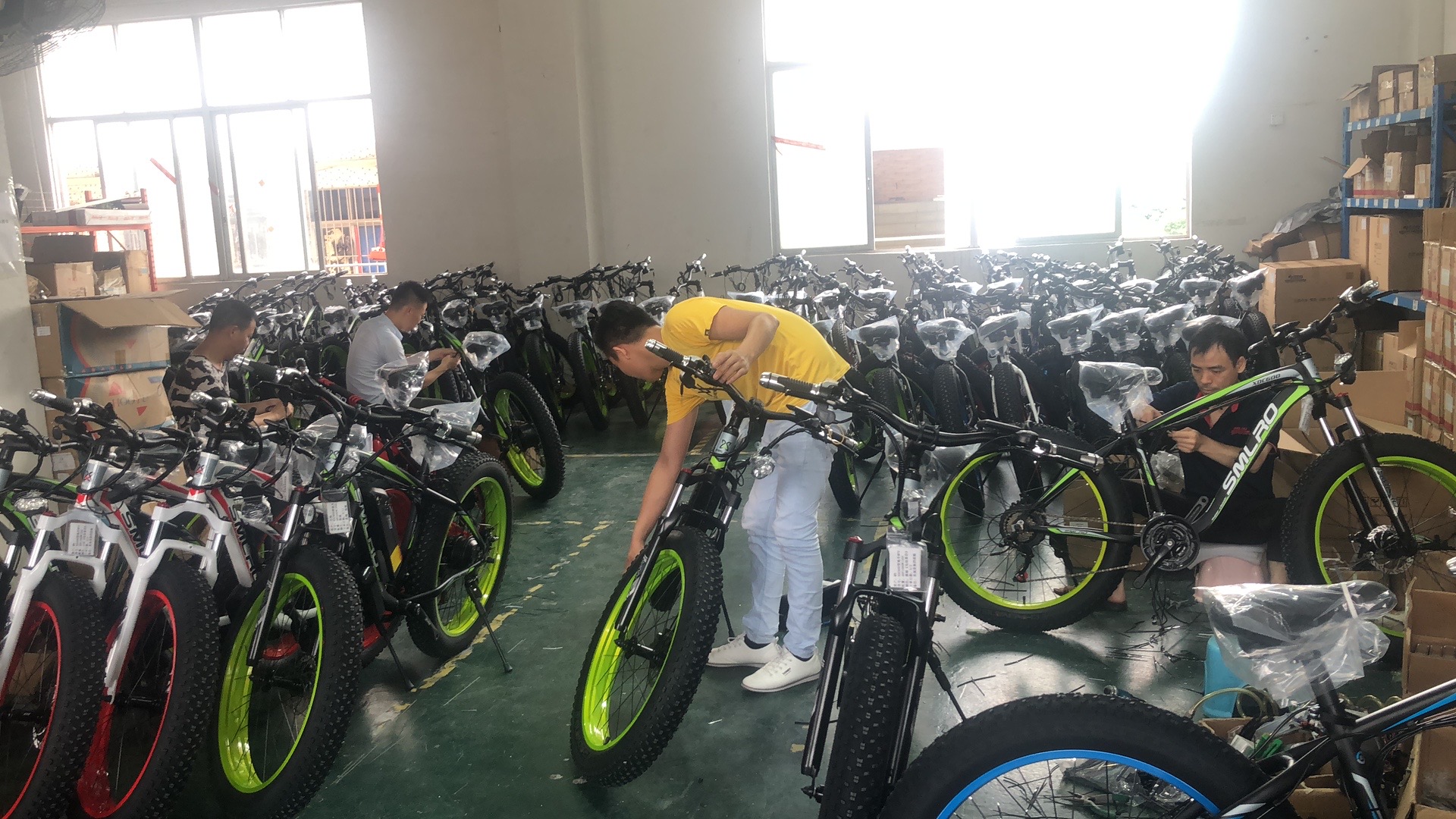 Unisex Fat Tire Electric Mountain Bike With Downtube Battery Multifunctional