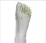 Bioresonance Health Scan and Therapy Metatron NLS 4025 Hunter for Body Detection