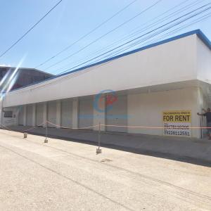 Quality Fire Resistant Economy Metal Buildings Prefabricated Warehouse Buildings In Steel wholesale