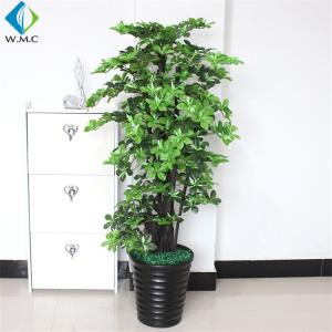 Quality Solid Wood Trunk Artificial Magnolia Tree In Pot For Indoor Decoration wholesale