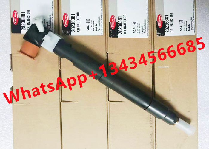 28236381 Common Rail Injector 33800-4A700 338004A700 Delphi Fuel For Hyundai Starex