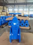 ODM Flanged CI Soft Seat Gate Valve Supplier 125lb-150lb