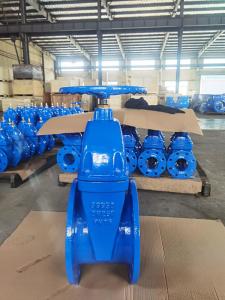 Quality ODM Flanged CI Soft Seat Gate Valve Supplier 125lb-150lb wholesale
