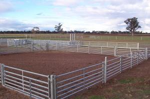 Quality Galvanized Pipes Easily Assembled Sheep Fence Panels wholesale