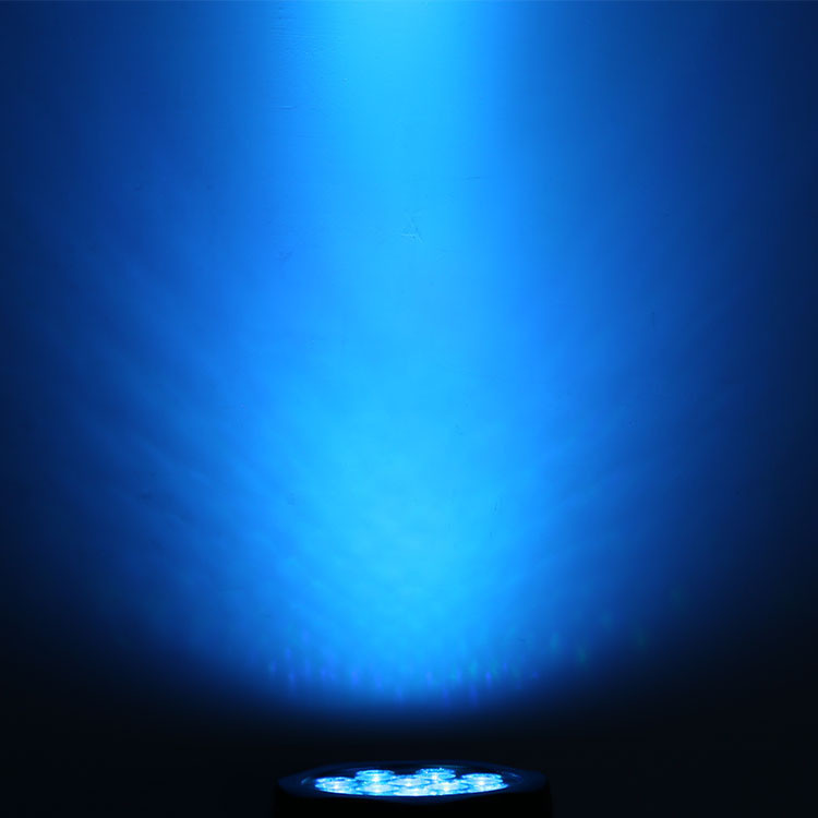 12*10W RGBW 4 In 1 IP65 LED Par Can Stage Lights For Event Show Outdoor
