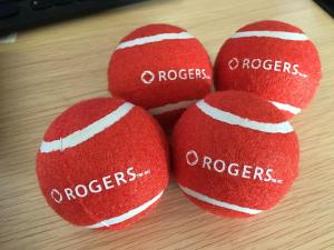 Quality hign quality low cost pet tennis ball wholesale