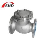 Flange Stainless Steel DN150 Check Valve OEM 2500LB Pressure
