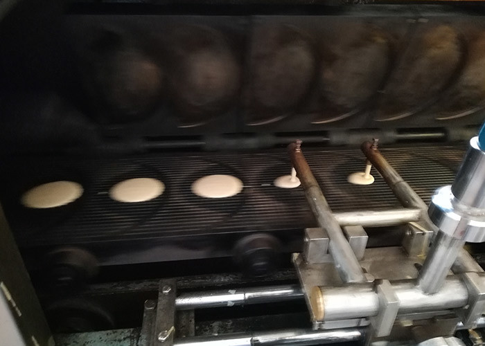 White Sugar Cone Production Line With Chain Food Conveyor