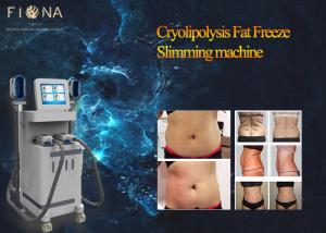 Quality High Frequency Lipo Cavitation Cryolipolysis Slimming Machine F250V L10A Fuse wholesale
