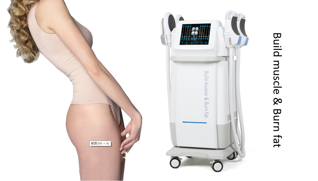 Non Invasive Body Sculpting Machine , Magnetic Muscle Stimulation Machine