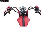 EEC 12 Inch Aluminum Wheel Adult Sports Motorcycle 1500W Lithium Battery TM-TX