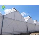 Tunnel Tomato Cooling System Multi Span Greenhouse Agriculture Commercial