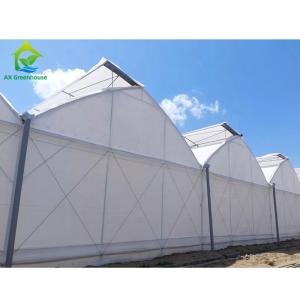 Quality Hot Galvanized Steel Structure Plastic Film Greenhouses Multi Span Agricultural wholesale