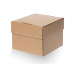 custom printing corrugated fruits packaging delivery boxes