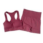 Wholesale Custom Seamless High Waist Yoga Leggings Sports Bras 2 Pieces Fitness