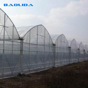 Quality Multispan Sprinkler Irrigation 9m Agricultural Greenhouse Multi Span Greenhouse wholesale