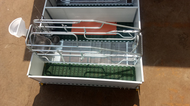 Farrowing Steel Pig Pen