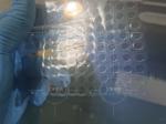 Diameter 5mm Sapphire Cover Glass 0.3mm Thickness