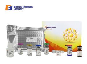 Quality Porcine Sandwich ELISA Kit 96 Well Plate High Specificity Beta - Endorphin Receptor wholesale