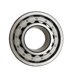 100% GCR15 Nj203 NJ204 NJ207 Cylindrical Roller Bearing