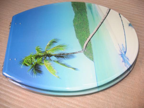 resin toilet seat cover,sanitary ware,hinge,MDF,PVC,PP,toilet,duroplastic toilet