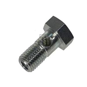 Quality Hollow Screw 01119246 01183399 1119246 1183399 0111 9246 0118 3399 For Deutz BFM1013 wholesale