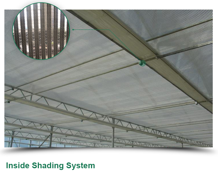4.0m-6.0m Gutter Height Commercial Glass Greenhouse for Vegetable Flower