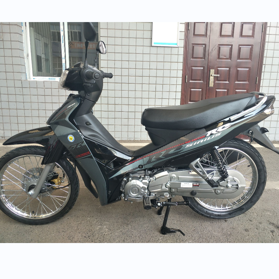 Brushless Motor ZS Engine Street Legal Mini Motorcycle High Maneuverable