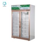 Double Door Upright Glass Door Display Freezer 2 To 8 Degree