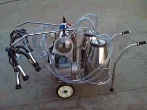 Quality 280L/Min 50Kpa Cow Milking Machine Mobile With Twin Buckets wholesale