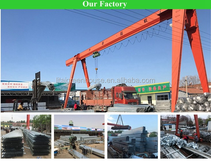 8.0m 10.0m Span Width Agriculture Greenhouse for Tomato and Vegetable