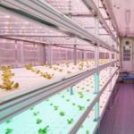 Shipping Container Greenhouse for Hydroponic Vertical Farming in Commercial