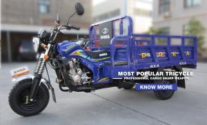 Quality Gasoline Tuk Tuk Motorcycle With Side Seats , Three Wheeled Chinese Cargo Trike wholesale