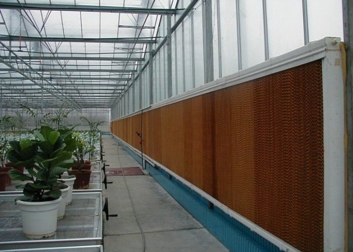 1500mm Height Brown Color Cooling Pad Wet Pad Greenhouse Cooling Pad System Evaporative