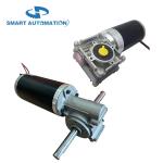 Custom Brush Brushless 12 volt 24 volt DC Motor 36 volt 48 volt Power 50 watt