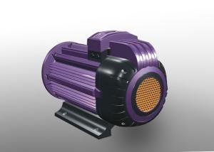 Quality IP54 Intelligent PM Motor wholesale