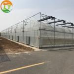 95% Transmittance Agricultural Plastic Film Greenhouse With Film Cover Material