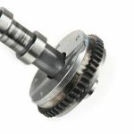 06H109021J Engine Parts Camshaft for AUDI A5, VW PASSAT, SEAT LEON (1P1)