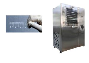 Quality Air Cooling Medicine Pharmaceutical Freeze Dryer 100L wholesale